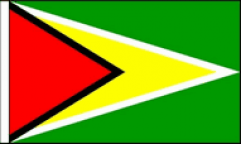 Guyana Hand Waving Flags